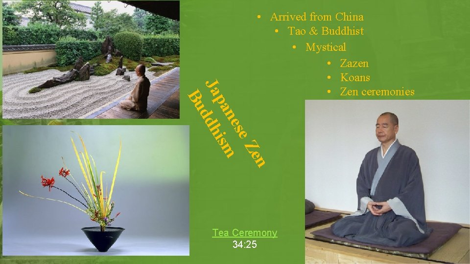 n Ze se ne pa ism Ja ddh Bu • Arrived from China • n Ze se ne pa ism Ja ddh Bu • Arrived from China •