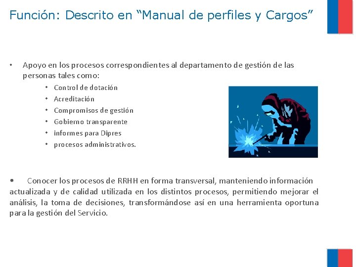 Función: Descrito en “Manual de perfiles y Cargos” • Apoyo en los procesos correspondientes