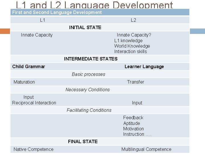 L 1 and L 2 Language Development First and Second Language Development L 1