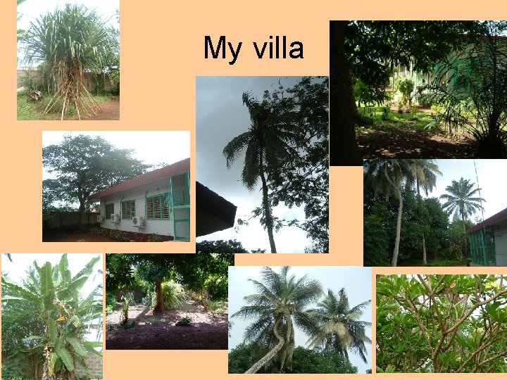My villa 