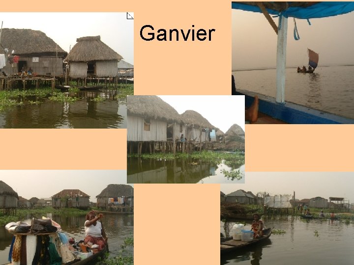 Ganvier 