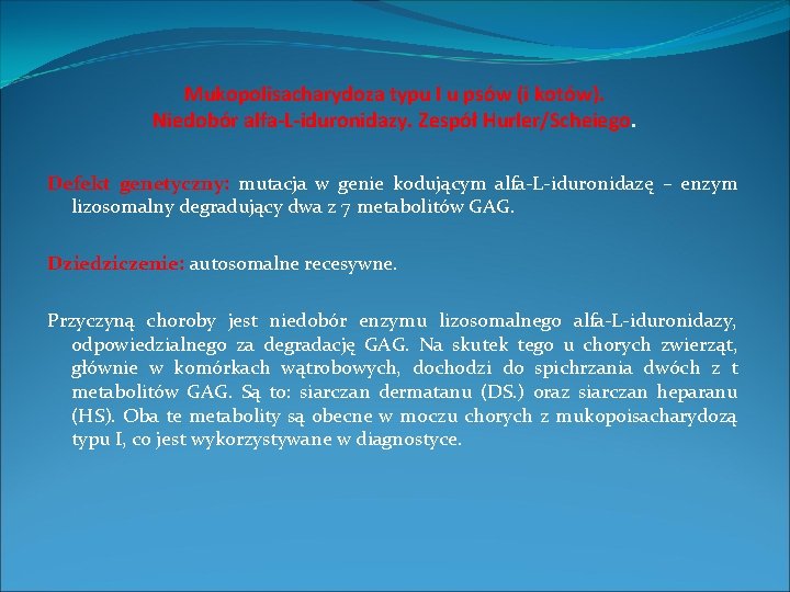 Mukopolisacharydoza typu I u psów (i kotów). Niedobór alfa-L-iduronidazy. Zespół Hurler/Scheiego. Defekt genetyczny: mutacja