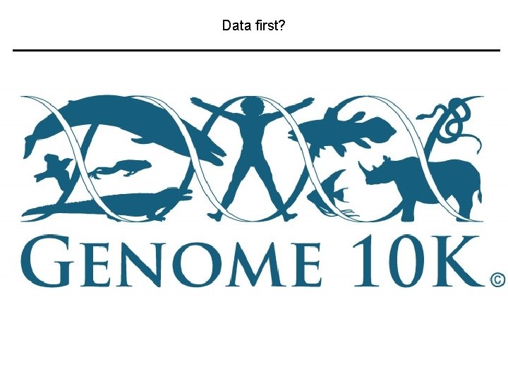 Data first? 