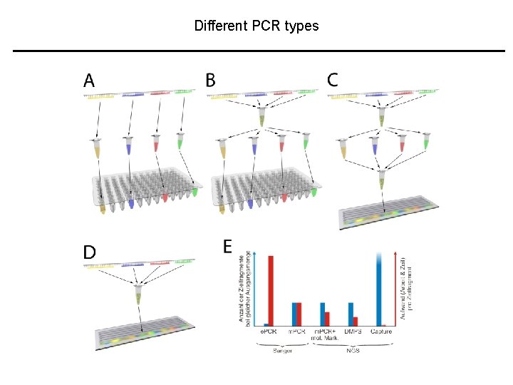 Different PCR types 