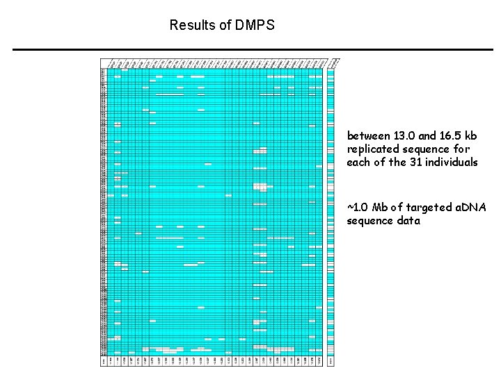 Results of DMPS between 13. 0 and 16. 5 kb replicated sequence for each