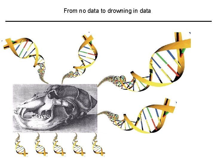From no data to drowning in data 