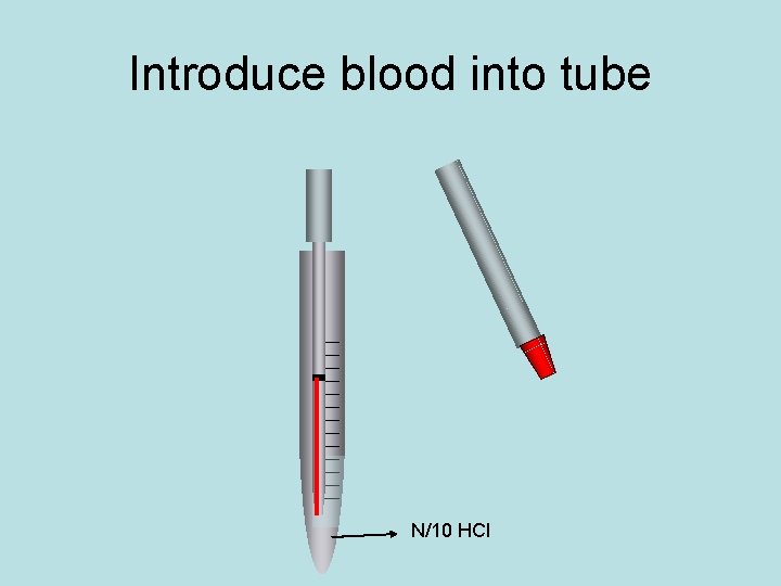 Introduce blood into tube N/10 HCl 