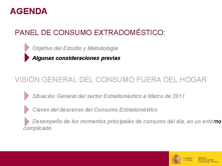 AGENDA PANEL DE CONSUMO EXTRADOMÉSTICO: Objetivo del Estudio y Metodología Algunas consideraciones previas VISIÓN