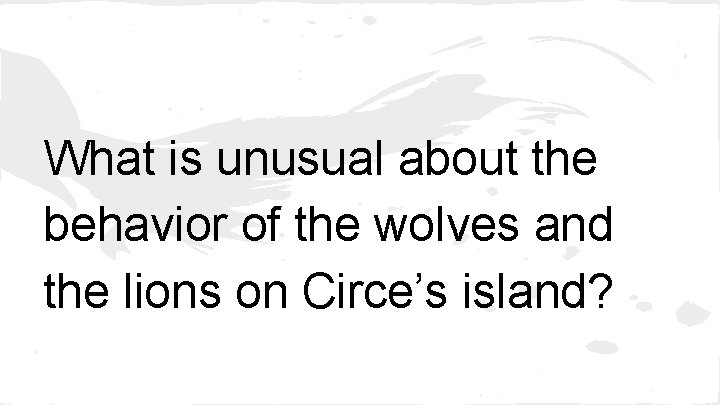 What is unusual about the behavior of the wolves and the lions on Circe’s