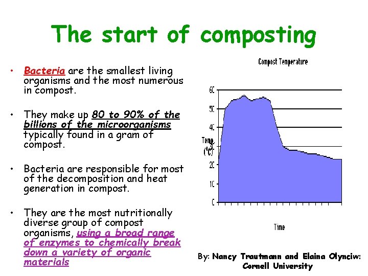 The start of composting • Bacteria are the smallest living organisms and the most