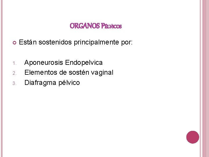 ORGANOS PÉLVICOS 1. 2. 3. Están sostenidos principalmente por: Aponeurosis Endopelvica Elementos de sostén