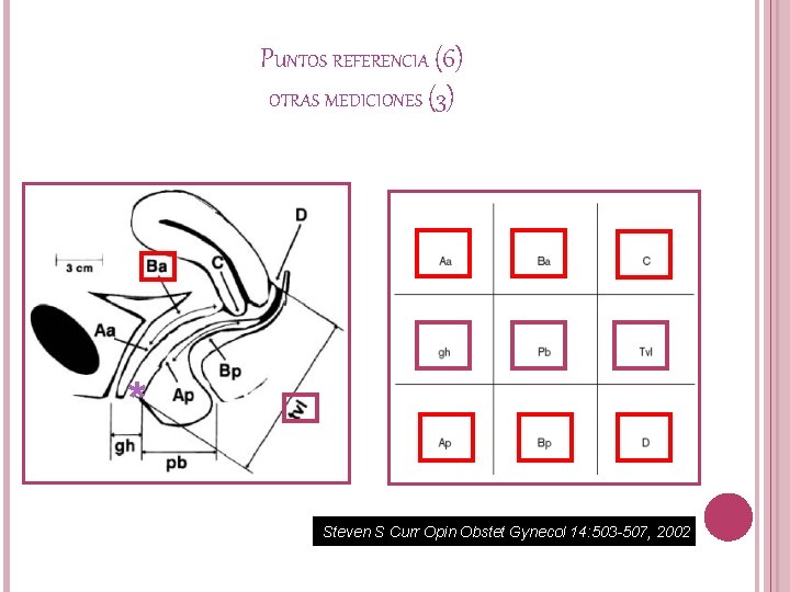 PUNTOS REFERENCIA (6) OTRAS MEDICIONES (3) * Steven S Curr Opin Obstet Gynecol 14: