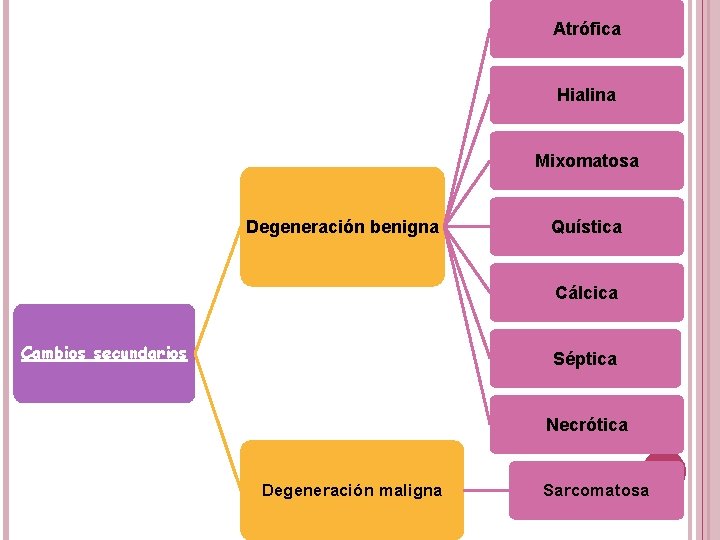 Atrófica Hialina Mixomatosa Degeneración benigna Quística Cálcica Cambios secundarios Séptica Necrótica Degeneración maligna Sarcomatosa