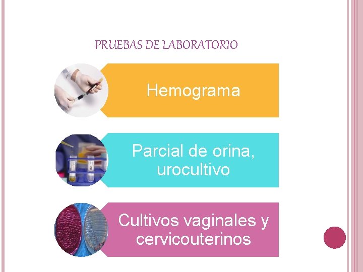 PRUEBAS DE LABORATORIO Hemograma Parcial de orina, urocultivo Cultivos vaginales y cervicouterinos 