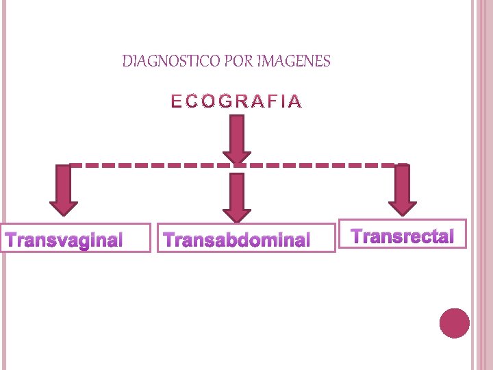 DIAGNOSTICO POR IMAGENES Transvaginal Transabdominal Transrectal 