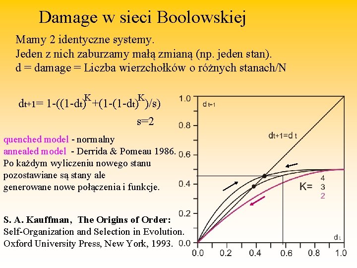 Damage w sieci Boolowskiej Mamy 2 identyczne systemy. Jeden z nich zaburzamy małą zmianą