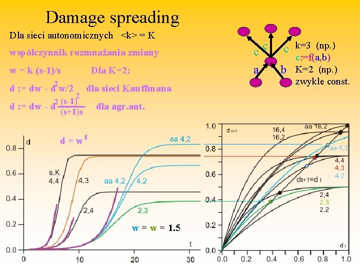 Damage spreading Dla sieci autonomicznych <k> = K współczynnik rozmnażania zmiany w = k