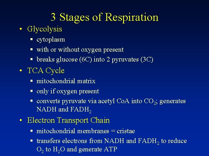 3 Stages of Respiration • Glycolysis § cytoplasm § with or without oxygen present