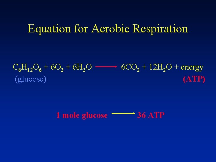 Equation for Aerobic Respiration C 6 H 12 O 6 + 6 O 2