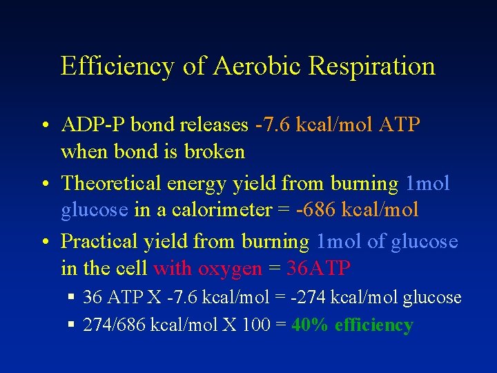 Efficiency of Aerobic Respiration • ADP-P bond releases -7. 6 kcal/mol ATP when bond