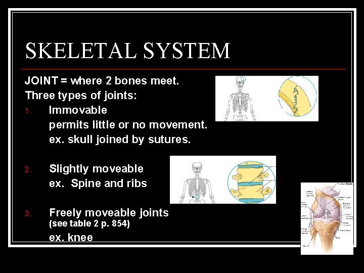 SKELETAL SYSTEM JOINT = where 2 bones meet. Three types of joints: 1. Immovable
