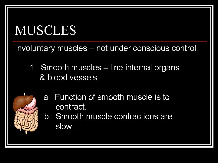 MUSCLES Involuntary muscles – not under conscious control. 1. Smooth muscles – line internal
