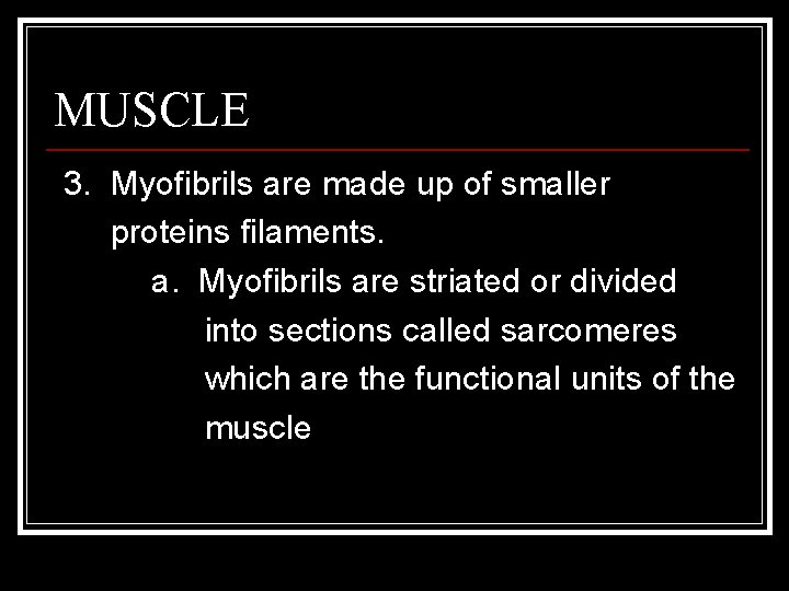 MUSCLE 3. Myofibrils are made up of smaller proteins filaments. a. Myofibrils are striated