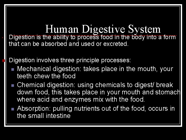 Human Digestive System • Digestion is the ability to process food in the body