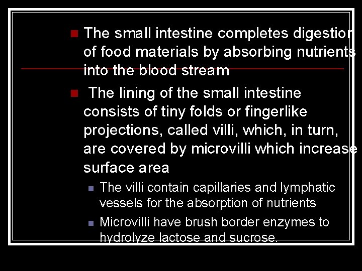 The small intestine completes digestion of food materials by absorbing nutrients into the blood