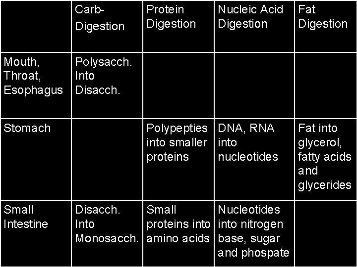 Carb. Digestion Protein Digestion Nucleic Acid Digestion Fat Digestion Mouth, Polysacch. Throat, Into Esophagus