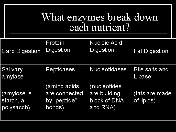 What enzymes break down each nutrient? Protein Carb Digestion Nucleic Acid Digestion Salivary amylase