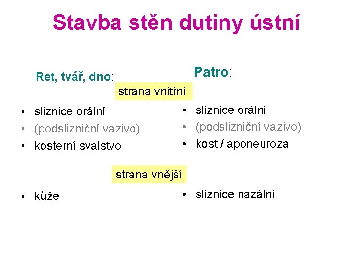 Stavba stěn dutiny ústní Patro: Ret, tvář, dno: strana vnitřní • sliznice orální •