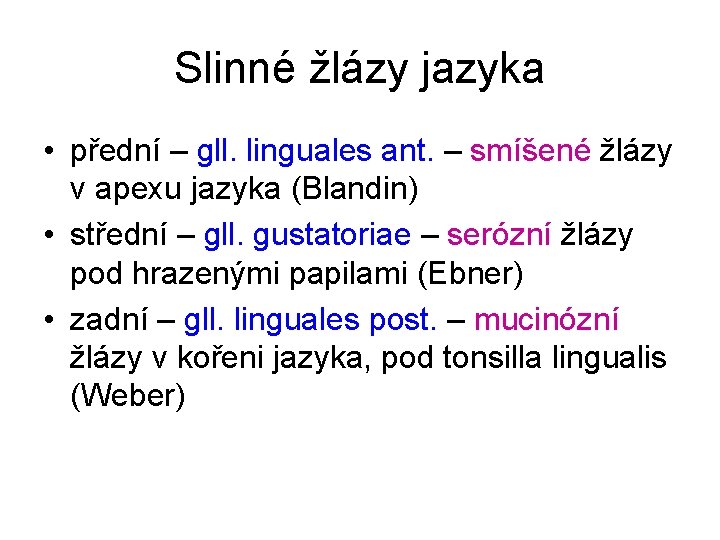 Slinné žlázy jazyka • přední – gll. linguales ant. – smíšené žlázy v apexu