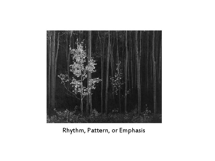 Rhythm, Pattern, or Emphasis 