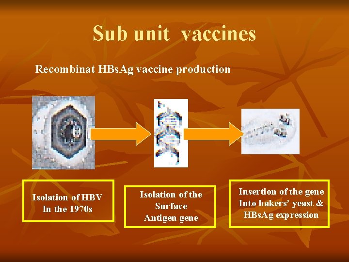 Sub unit vaccines Recombinat HBs. Ag vaccine production Isolation of HBV In the 1970