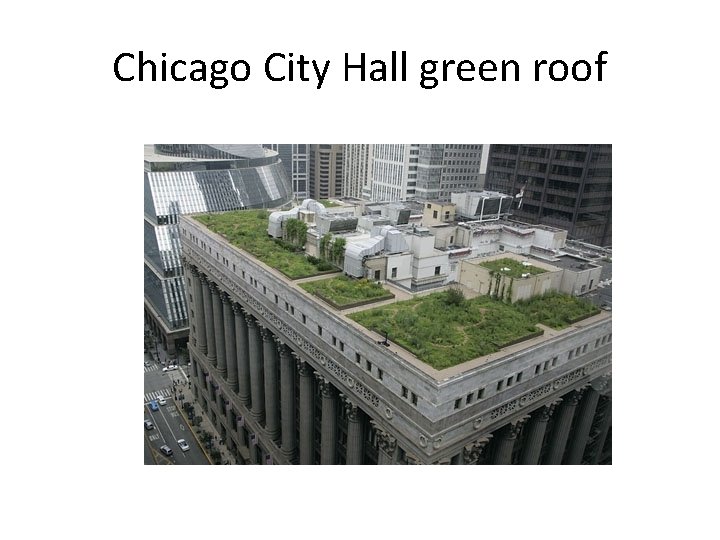 Chicago City Hall green roof 