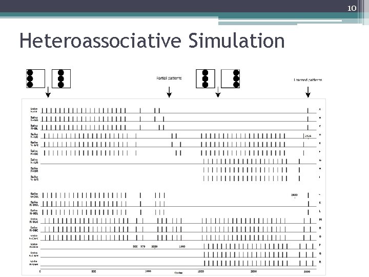 10 Heteroassociative Simulation 