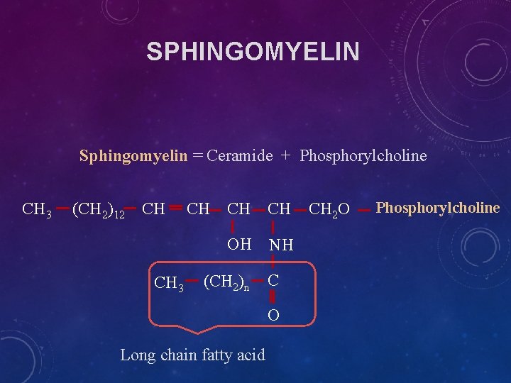 SPHINGOMYELIN Sphingomyelin = Ceramide + Phosphorylcholine CH 3 (CH 2)12 CH CH 3 CH SPHINGOMYELIN Sphingomyelin = Ceramide + Phosphorylcholine CH 3 (CH 2)12 CH CH 3 CH