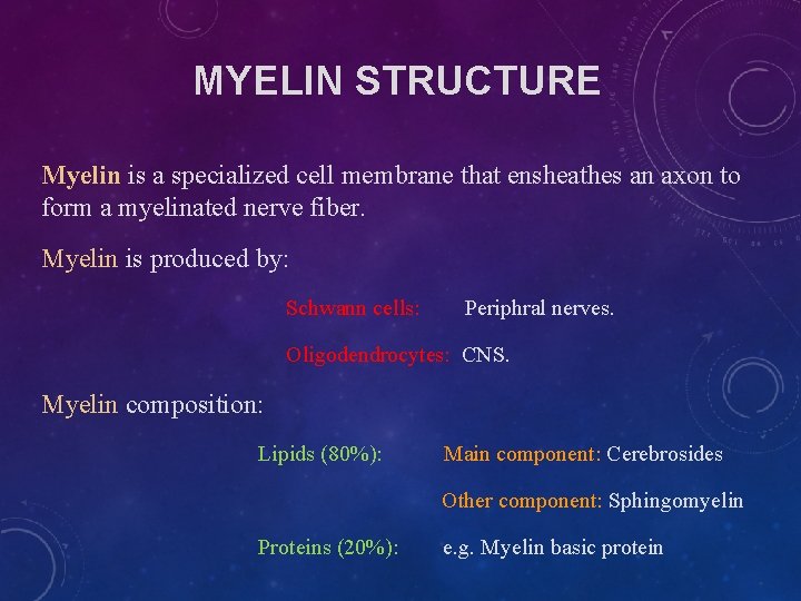 MYELIN STRUCTURE Myelin is a specialized cell membrane that ensheathes an axon to form MYELIN STRUCTURE Myelin is a specialized cell membrane that ensheathes an axon to form