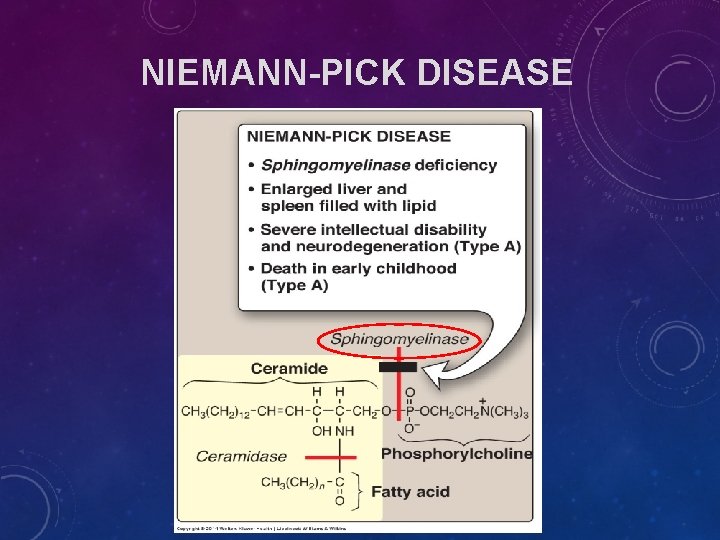 NIEMANN-PICK DISEASE NIEMANN-PICK DISEASE