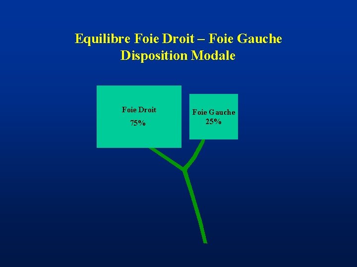 Equilibre Foie Droit – Foie Gauche Disposition Modale Foie Droit 75% Foie Gauche 25%