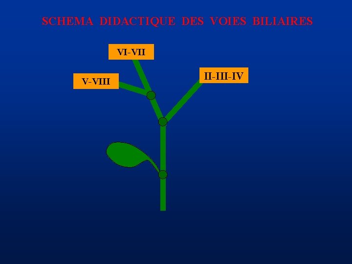 SCHEMA DIDACTIQUE DES VOIES BILIAIRES VI-VII V-VIII II-IV 