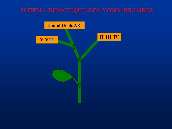 SCHEMA DIDACTIQUE DES VOIES BILIAIRES Canal Droit AR V-VIII II-IV 