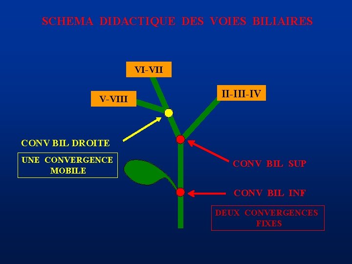 SCHEMA DIDACTIQUE DES VOIES BILIAIRES VI-VII V-VIII II-IV CONV BIL DROITE UNE CONVERGENCE MOBILE