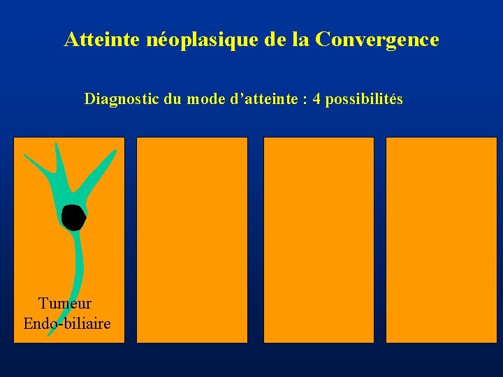 Atteinte néoplasique de la Convergence Diagnostic du mode d’atteinte : 4 possibilités Tumeur Endo-biliaire