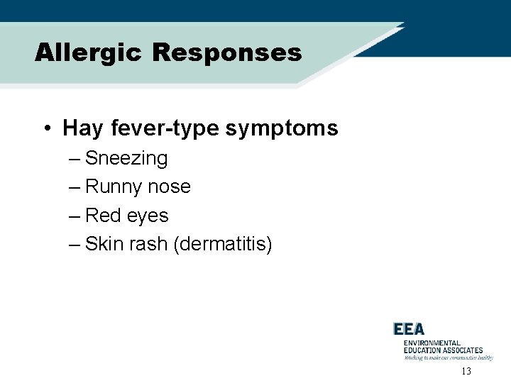 Allergic Responses • Hay fever-type symptoms – Sneezing – Runny nose – Red eyes