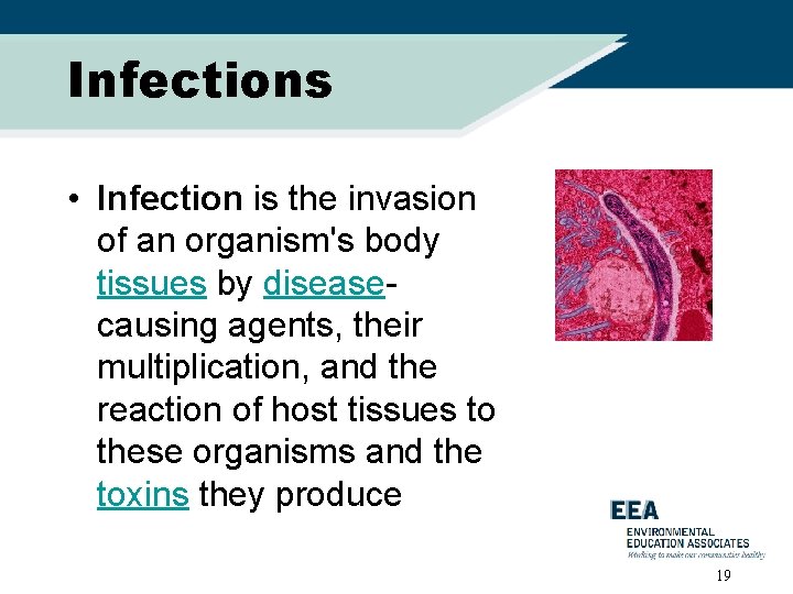 Infections • Infection is the invasion of an organism's body tissues by diseasecausing agents,