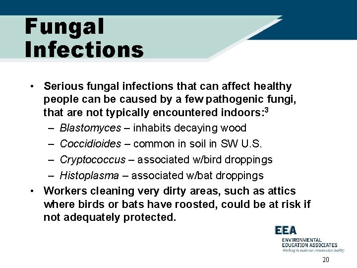 Fungal Infections • Serious fungal infections that can affect healthy people can be caused
