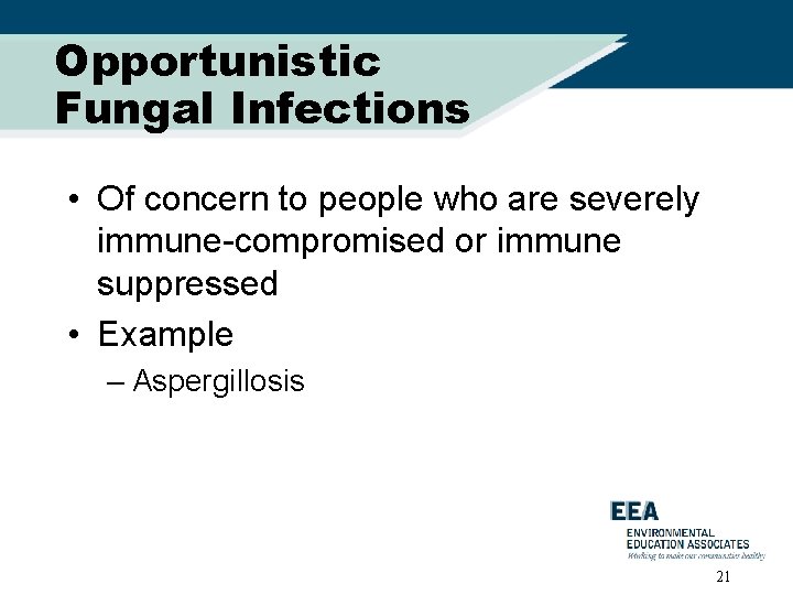 Opportunistic Fungal Infections • Of concern to people who are severely immune-compromised or immune