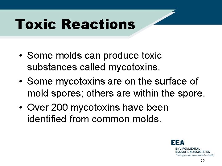 Toxic Reactions • Some molds can produce toxic substances called mycotoxins. • Some mycotoxins